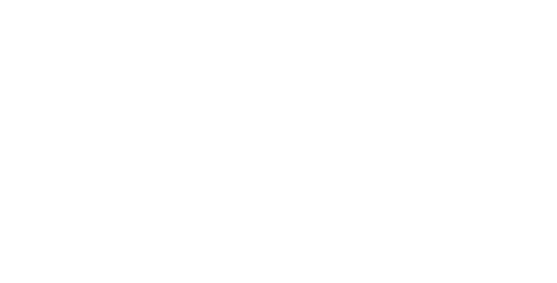 Aladdin Capital