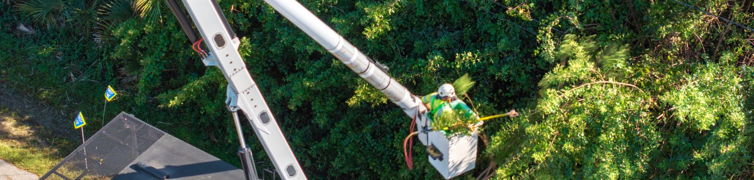 Bucket-truck crew trimming vegetation beside overhead power lines, seen from above