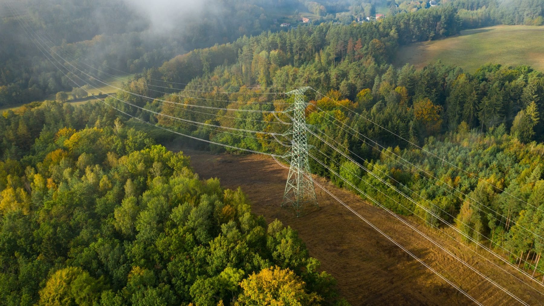Cleared transmission-line right-of-way through forest