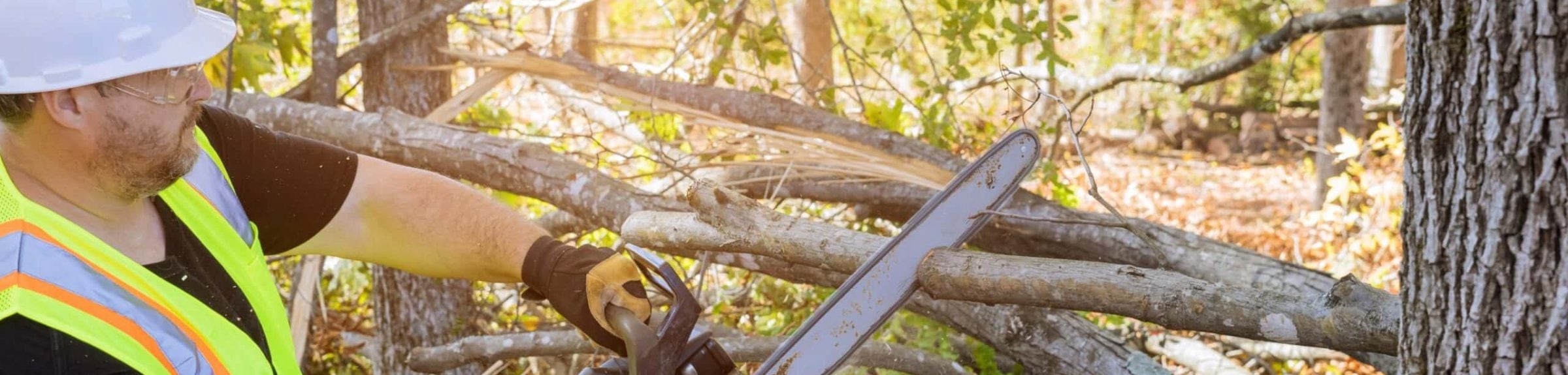 Crew member in hard hat and high-visibility vest cutting fallen limbs with a chainsaw